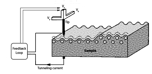 扫描隧道显微镜原理图