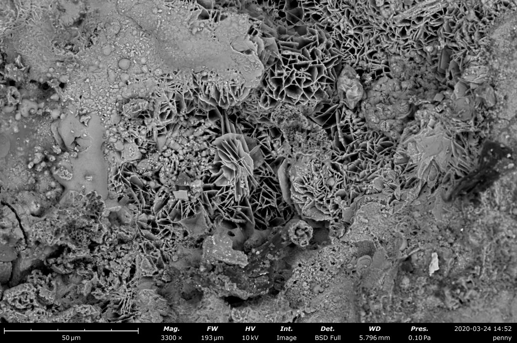 Penny imaged on the Phenom desktop SEM