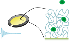 Analysis of Biopolymer Films by QCM-D