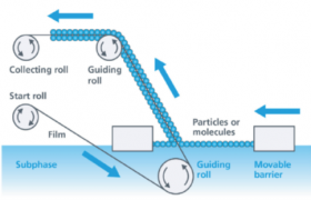 Langmuir-Blodgett roll-to-roll deposition